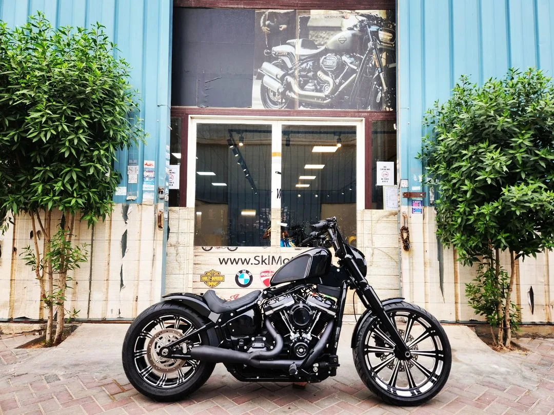 2022 HARLEY DAVIDSON STREET BOB CUSTOMS - FXST