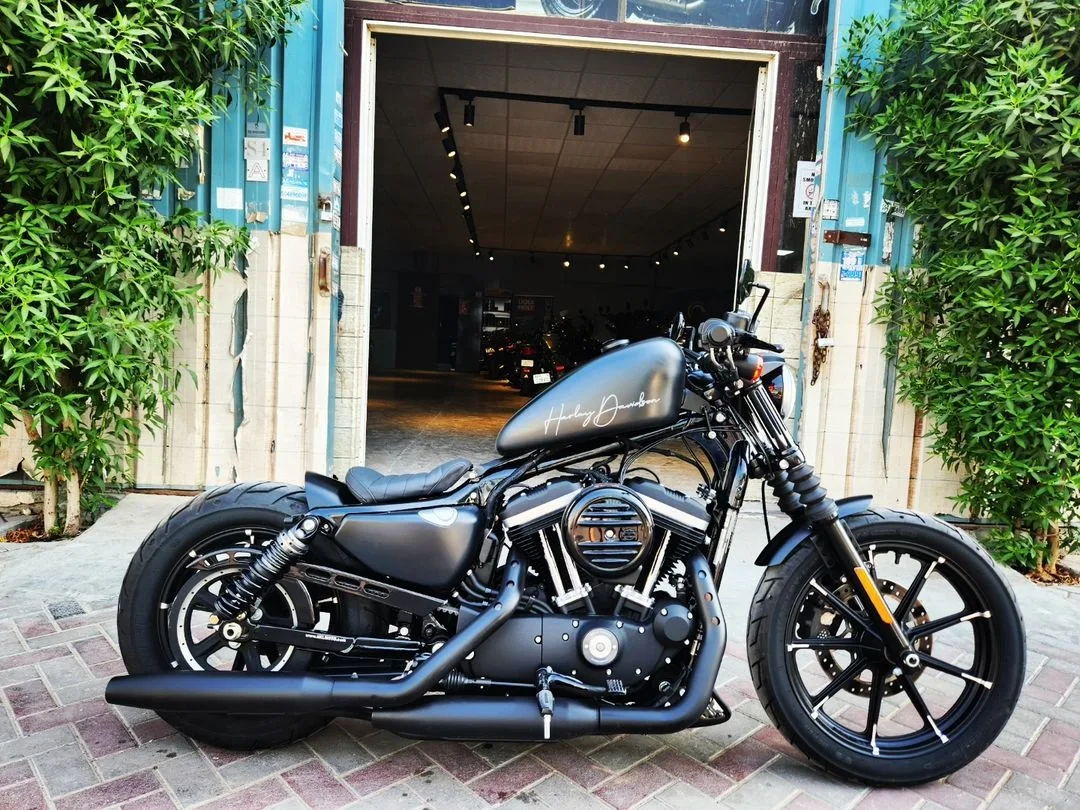2021 HARLEY DAVIDSON SPORTSTAR IRON CUSTOM - XL883 N