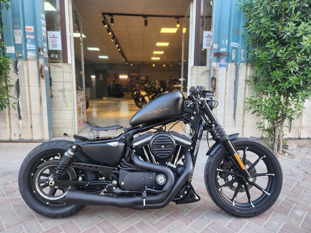 2020 HARLEY DAVIDSON SPORTSTER IRON 883