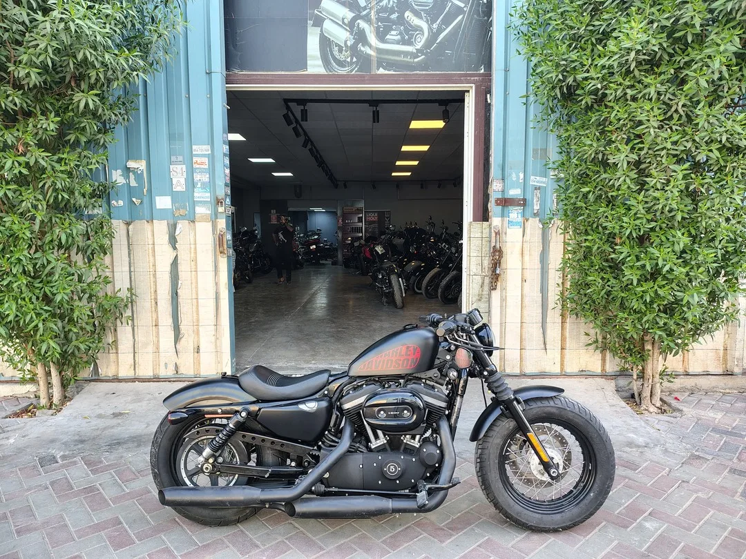 2015 HARLEY DAVIDSON SPORTSTER FORTY-EIGHT XL1200