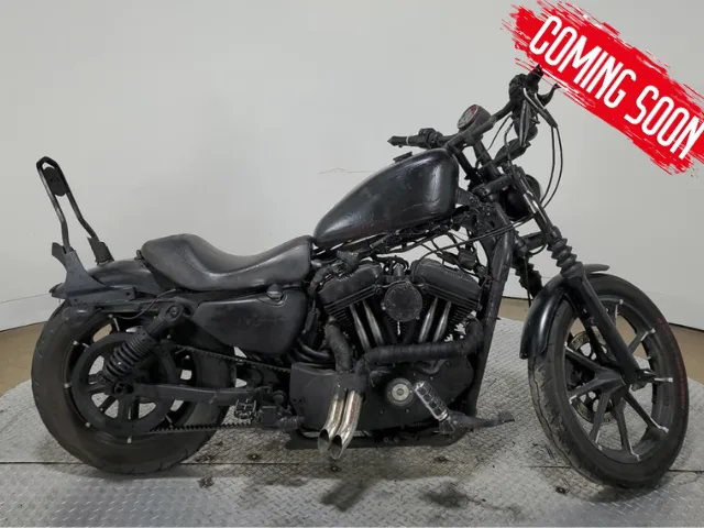 2019 HARLEY-DAVIDSON SPORTSTER XL883 N