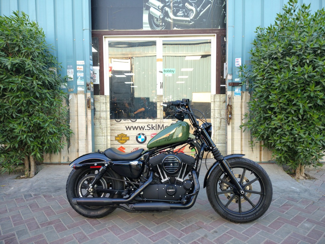 2019 HARLEY DAVIDSON SPORTSTER XL1200- NS