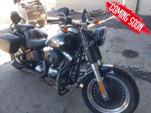 HARLEY-DAVIDSON FAT BOY  FLSTFB 2010